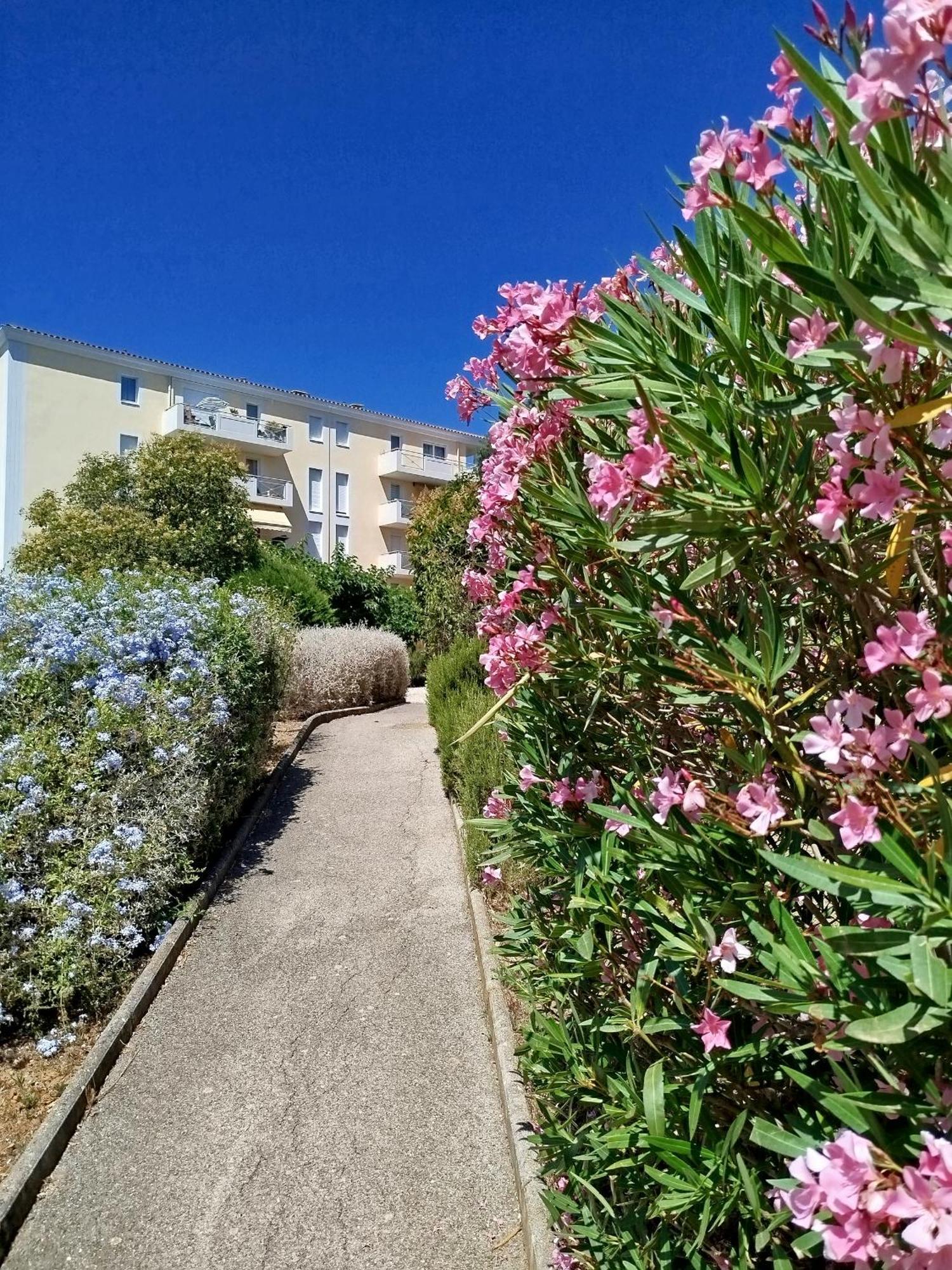 Jasmin * Hyères
